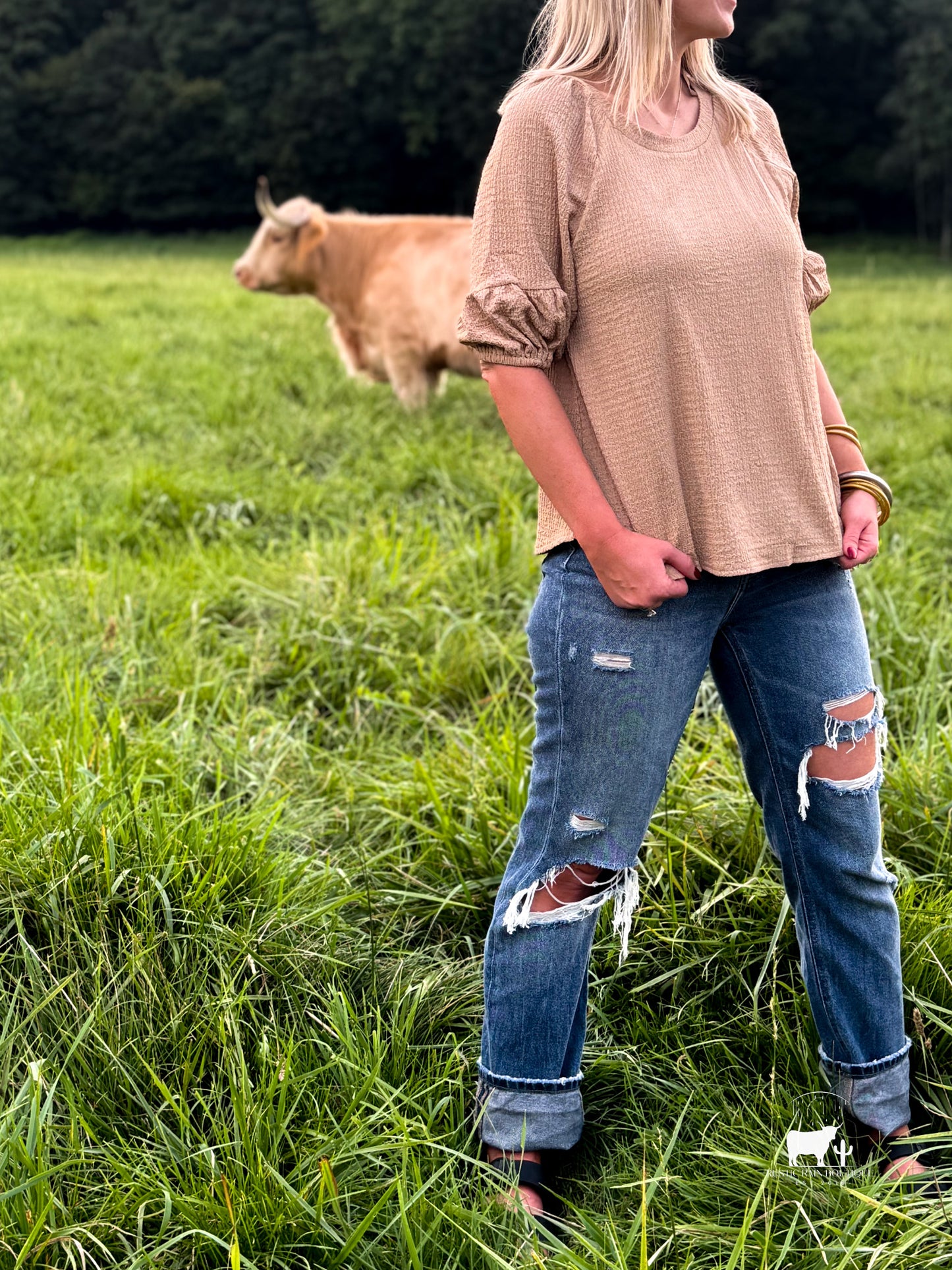 Taupe Bell Sleeve Top