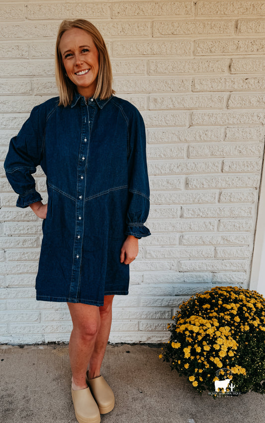 Button Up Flounce Sleeve Mini Denim Dress