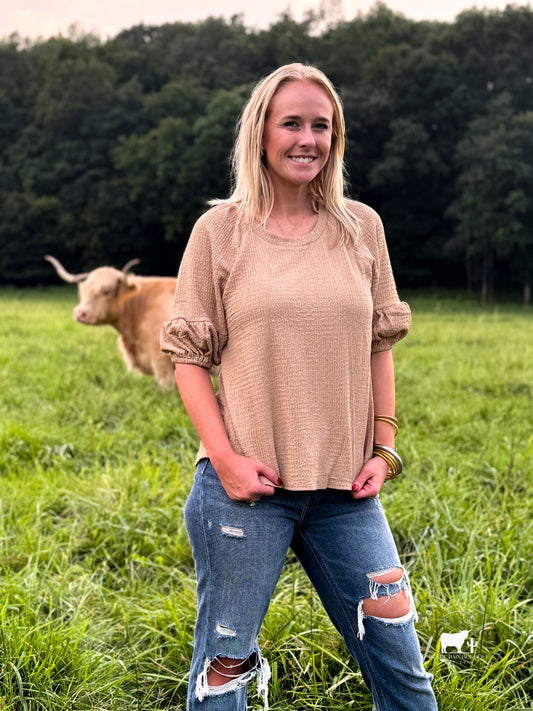 Taupe Bell Sleeve Top