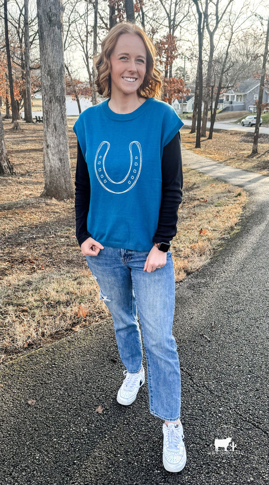 Horseshoe Graphic Round Neck Short Sleeve Sweater