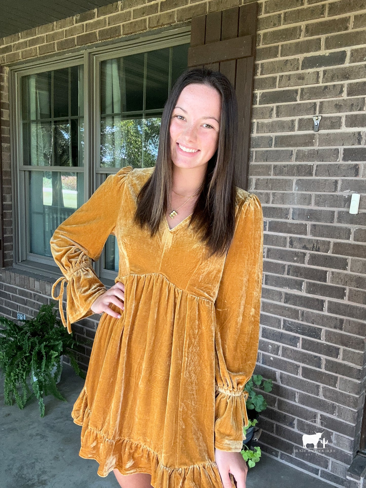 Velvet Sleeve Dress- Mustard