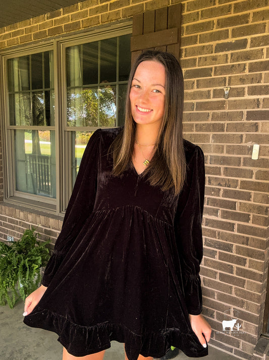 Velvet Sleeve Dress- Black